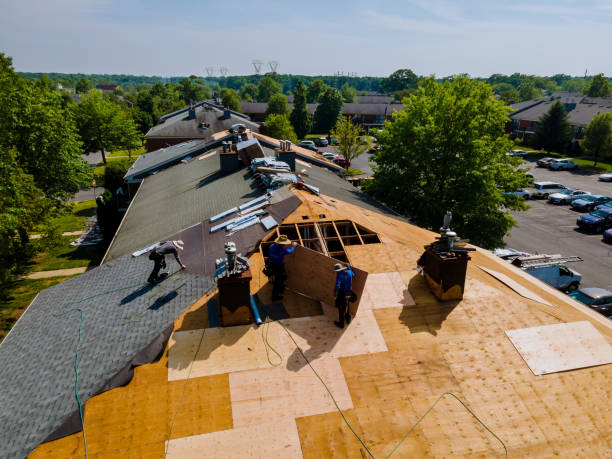 Trusted Roof Replacement service in Spray, OR - Brentwood Metal Roofing